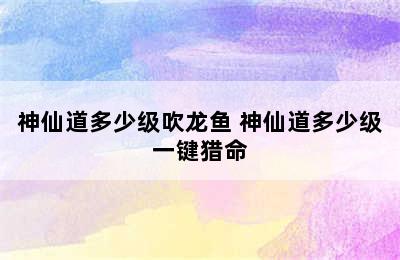 神仙道多少级吹龙鱼 神仙道多少级一键猎命